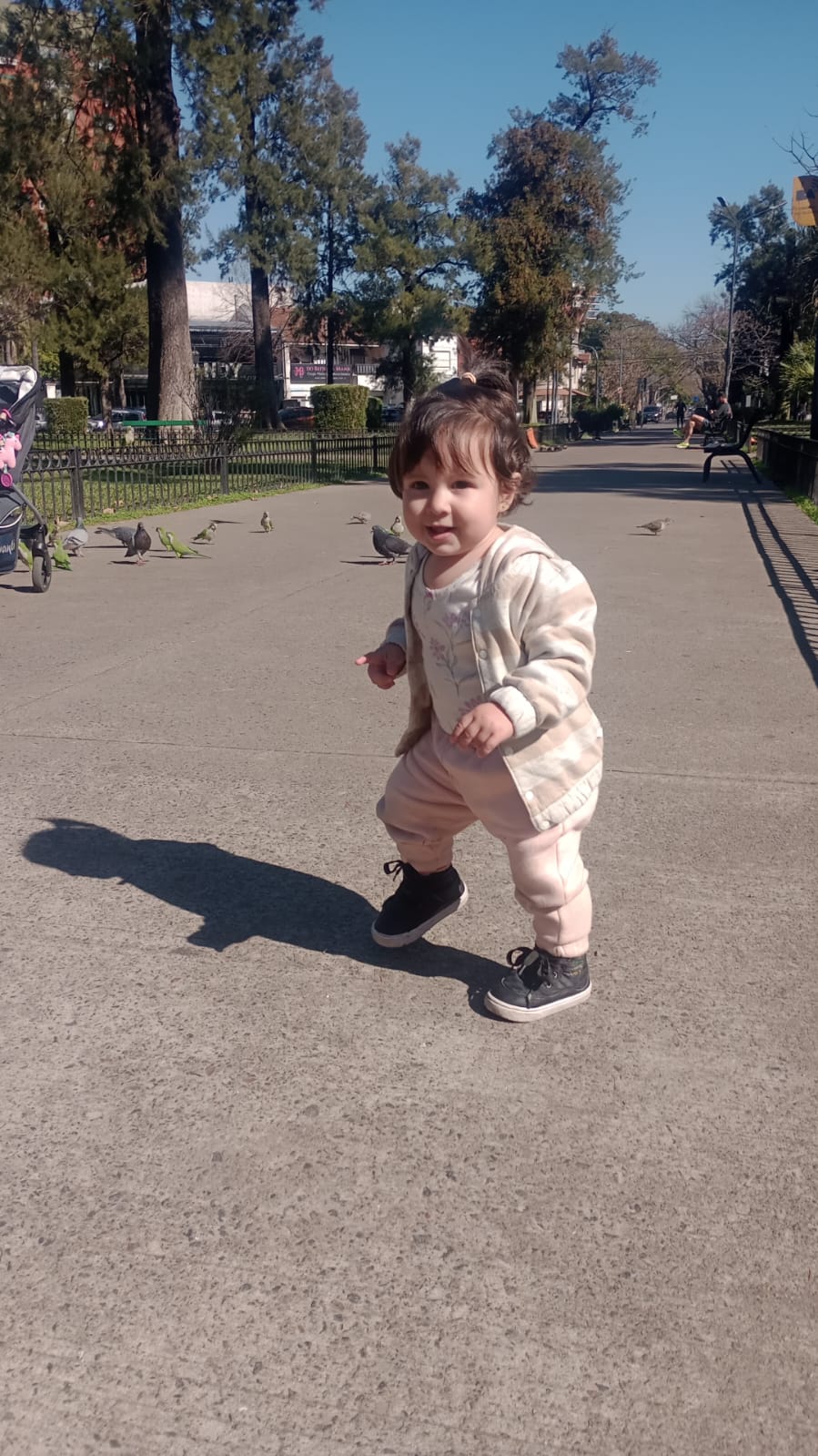 WhatsApp Image 2025-08-28 at 11.02.00.jpeg